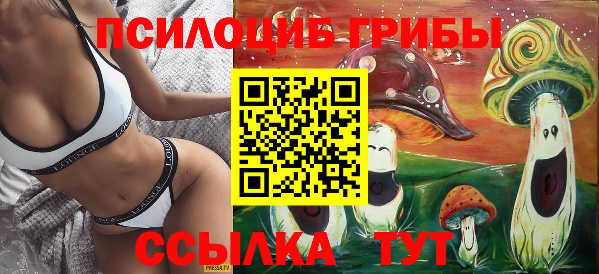 Галлюциногенные грибы Psilocybine cubensis Самара
