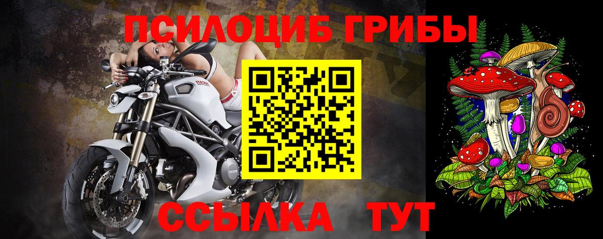 Псилоцибиновые грибы Magic Shrooms  наркотики  Самара  Вход с VPN  Псилоцибиновые грибы Psilocybe 